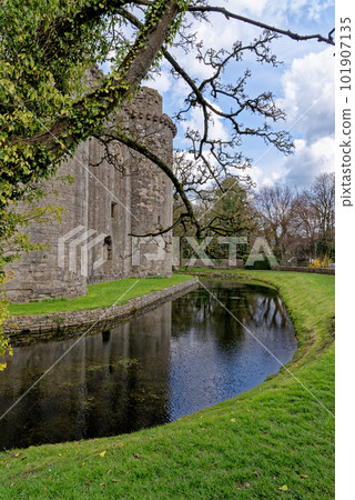 Nunney Castle, Somerset, England - United Kingdom 101907135