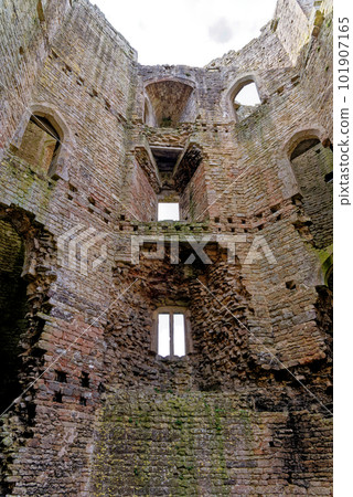 Inside walls of Nunney Castle, Somerset, England - United Kingdom 101907165