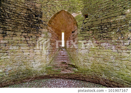 Inside walls of Nunney Castle, Somerset, England - United Kingdom 101907167