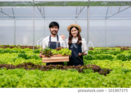 Two couple agribusiness owner farmer working and holding organic 101907375