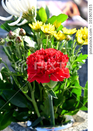 bouquet for grave bouquet for grave 101907855