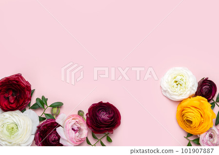 Floral arrangments of tender ranunculus flowers 101907887