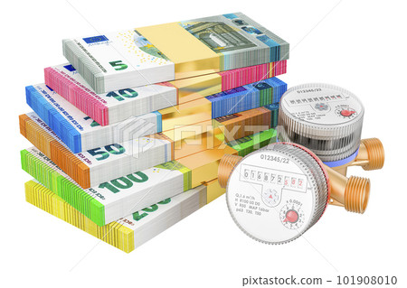 Water meters with euro packs. Water consumption, cost of utilities and saving concept, 3D rendering 101908010