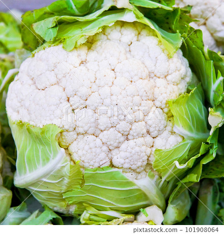 Cauliflower Cauliflower 101908064