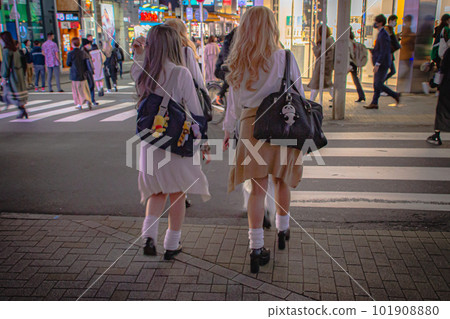 Night in Shibuya 101908880