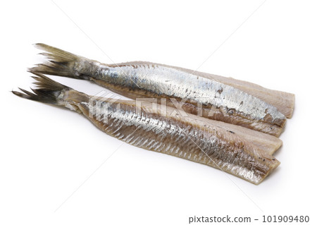 自製火柴 101909480