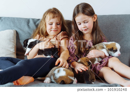 Children and dogs. Two charming girls are sitting on sofa holding in their arms and stroking several puppies. 101910248