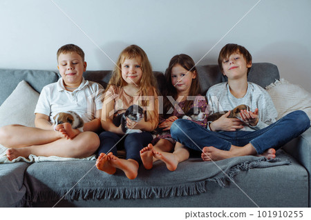 Group of children and puppies. Family, brothers and sisters are sitting on sofa and holding puppies. Friendship. Group of children and puppies. Family, brothers and sisters are sitting on sofa and holding puppies. Friendship. 101910255