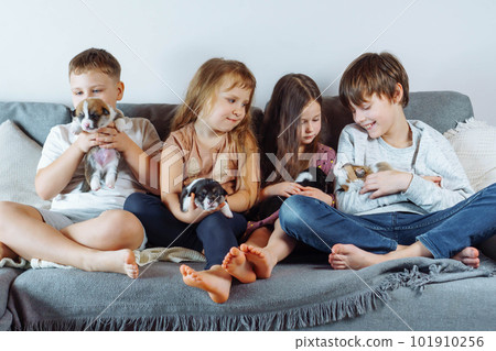 Family, brothers and sisters are sitting at home on gray sofa and holding several puppies on their hands and knees. Family, brothers and sisters are sitting at home on gray sofa and holding several puppies on their hands and knees. 101910256