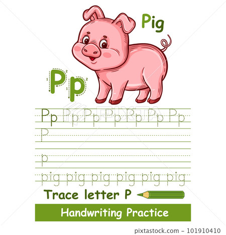 Alphabet trace letter P handwriting vocabulary practice worksheet, cute little pig. Children writing education task. Baby piglet swine farm animal character. Learn ABC English. Kid book page vector 101910410
