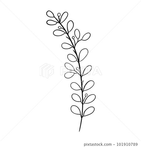 Digital illustration of a cute black outline doodle spring theme frame twig with leaves in scandinavian style. Print for clothes, poster, banner, postcard, web design, coloring. Digital illustration of a cute black outline doodle spring theme frame twig with leaves in scandinavian style. Print for clothes, poster, banner, postcard, web design, coloring. 101910789
