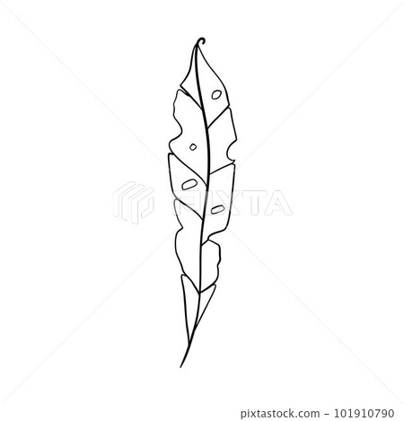 Digital illustration of a cute black outline doodle spring theme frame twig with leaves in scandinavian style. Print for clothes, poster, banner, postcard, web design, coloring. Digital illustration of a cute black outline doodle spring theme frame twig with leaves in scandinavian style. Print for clothes, poster, banner, postcard, web design, coloring. 101910790