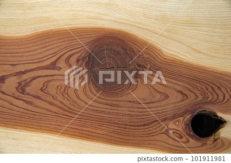 Texture of a longitudinal section of a tree trunk. Texture of a longitudinal section of a tree trunk. 101911981