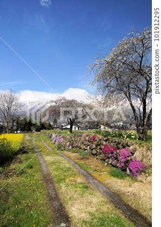 A scenic spot from Oide Park, spring in the Northern Alps A scenic spot from Oide Park, spring in the Northern Alps 101912295