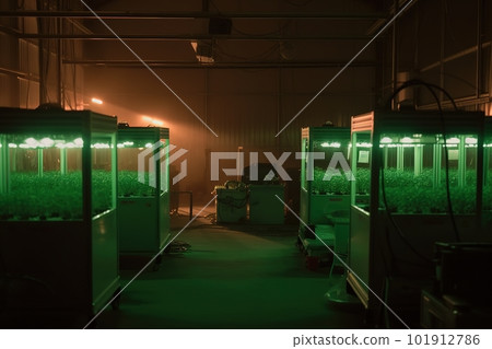 Powering massive LED arrays that illuminate the interior of a greenhouse at night. Crop technicians in hazmat suits tend to the plants under the bright lights, as if growing diamonds. Generative AI 101912786