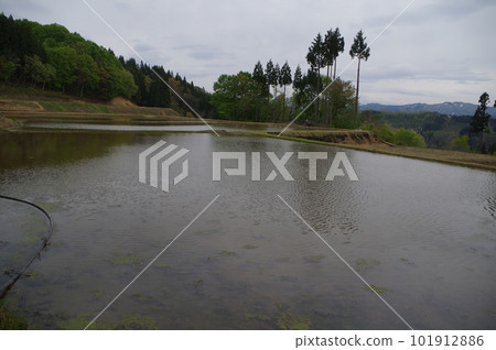 Gonpyoda梯田 Gonpyoda梯田 101912886