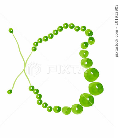 Watercolor illustration of green beads ornament. Isolated illustration 101912905