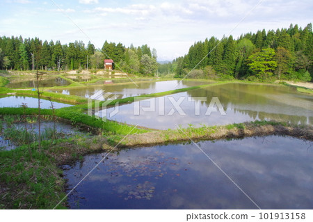 Spring in Tanokura terraced rice fields Spring in Tanokura terraced rice fields 101913158