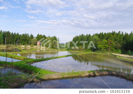 Spring in Tanokura terraced rice fields Spring in Tanokura terraced rice fields 101913159