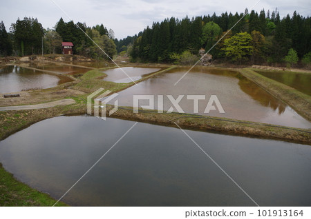 田倉梯田的春天 田倉梯田的春天 101913164