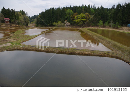 田倉梯田的春天 田倉梯田的春天 101913165