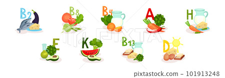 Food Enriched with Vitamins and Minerals Group Vector Set Food Enriched with Vitamins and Minerals Group Vector Set 101913248