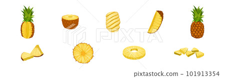 Fresh and Juicy Pineapple Slice and Section Vector Set Fresh and Juicy Pineapple Slice and Section Vector Set 101913354