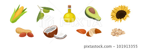Avocado, Corn Cob, Olive and Oil in Jar Vector Set Avocado, Corn Cob, Olive and Oil in Jar Vector Set 101913355