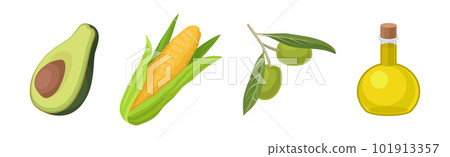 Avocado, Corn Cob, Olive and Oil in Jar Vector Set Avocado, Corn Cob, Olive and Oil in Jar Vector Set 101913357