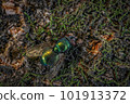 Glitter 101913372