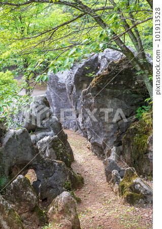 栃木縣佐野市片山公園岩溶 101913528
