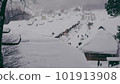 Snow scene in Japan 101913908