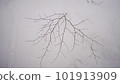 Snow scene in Japan 101913909