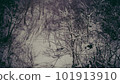 Snow scene in Japan 101913910