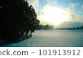 Snow scene in Japan 101913912