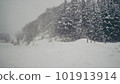 Snow scene in Japan 101913914