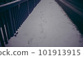 Footprint of snow 101913915
