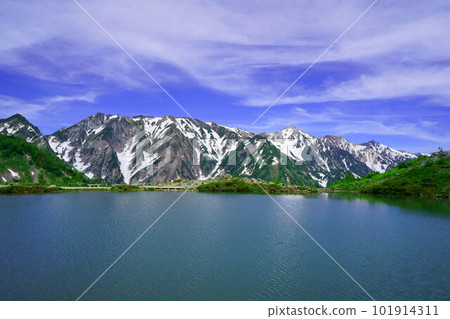 4519八寶池 4519八寶池 101914311