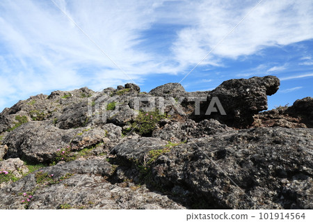 The beautiful summit scenery of Mt. Karakuni 101914564