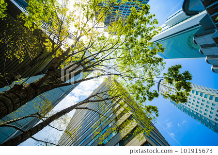 大廈街道新綠色 101915673