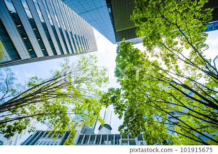 Fresh green of building street 101915675