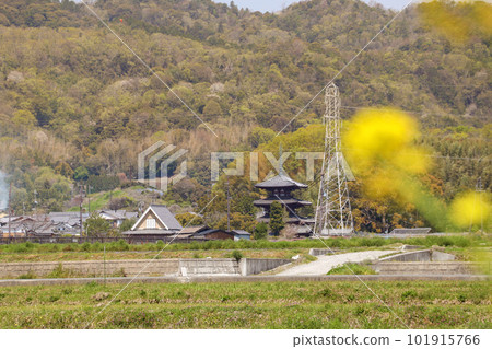 Peaceful scenery of Ikaruga Village Peaceful scenery of Ikaruga Village 101915766