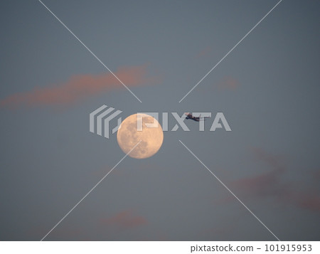 Scenery from Arakawa Tsutsumi, Kawaguchi City, Saitama Prefecture (Rendezvous of the moon and an airplane in the evening sky) 101915953