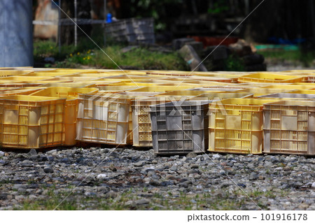 山北橘子田容器 101916178