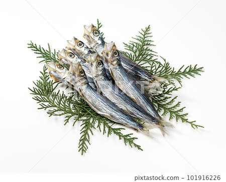 一個有趣的客廳 101916226