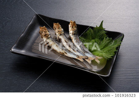 An amusing parlor 101916323