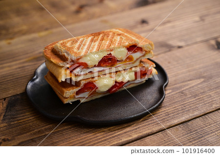 Hot sandwich with tomato and camembert cheese 101916400