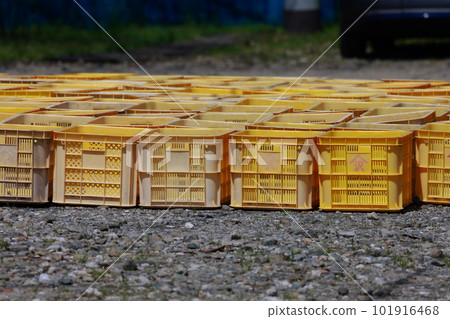 Agricultural container 101916468