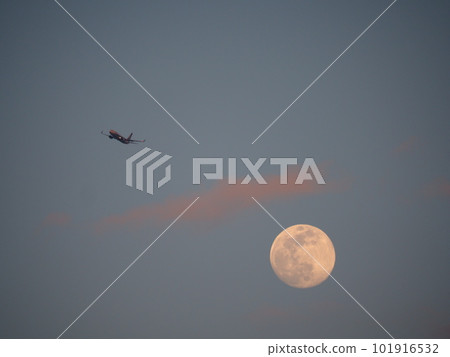 Scenery from Arakawa Tsutsumi, Kawaguchi City, Saitama Prefecture (Rendezvous of the moon and an airplane in the evening sky) 101916532