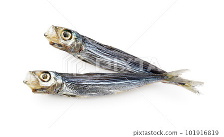 An amusing parlor 101916819